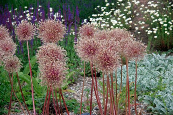 Garten der Sinne, Merzig